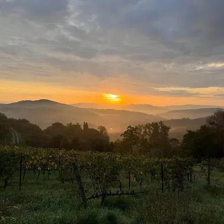 La Fonte Del Machiavelli * San Casciano in Val di Pesa